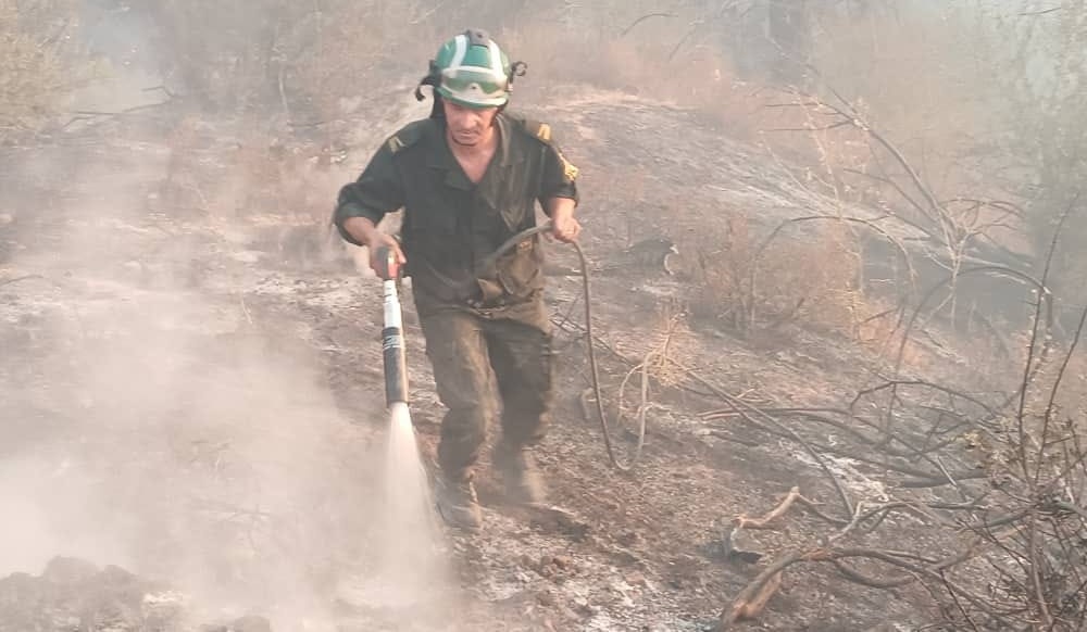 Prévention des feux